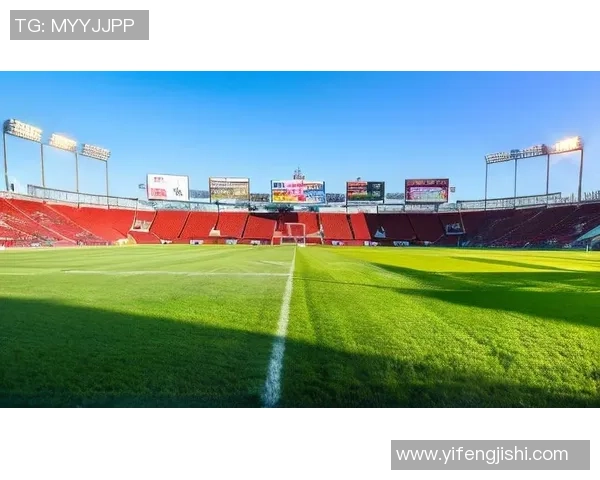 天天兄弟足球：激情四溢的绿茵场上兄弟情深，携手共创辉煌未来