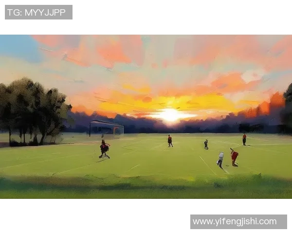 足球是我们心灵的归属与团结的象征在绿茵场上书写青春的梦想