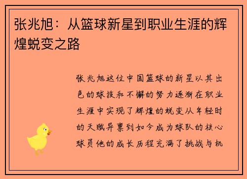 张兆旭：从篮球新星到职业生涯的辉煌蜕变之路